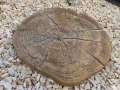 Pień fi 63 cm- 30 kg.jpg